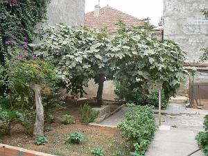 6 rue gl. Ferradou le jardin 02 